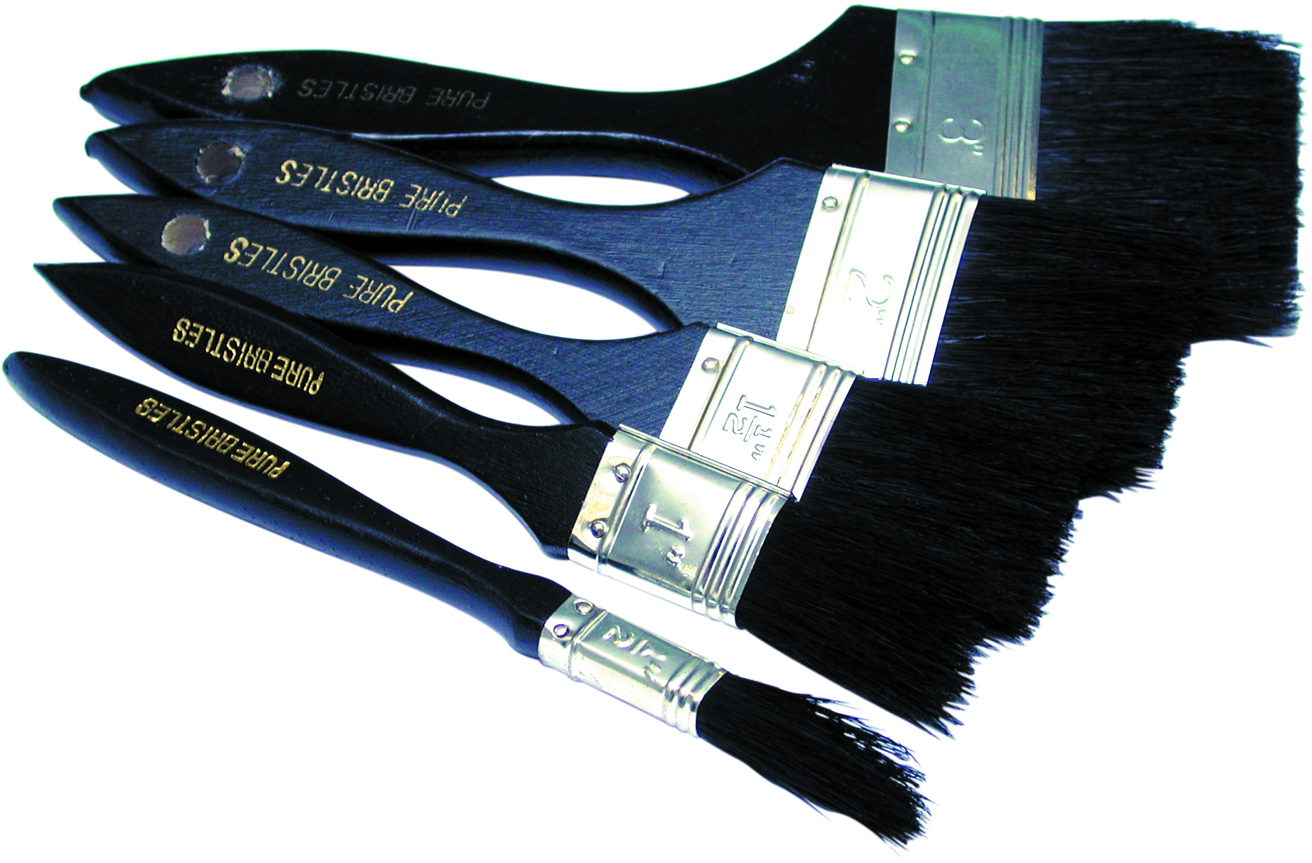 Assorted General Use Paint Brushes